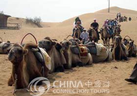 Camera Ride, Dunhuang Travel Guide