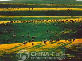Hohhot Gegentala Grassland, Hohhot Attractions, Hohhot Travel Guide