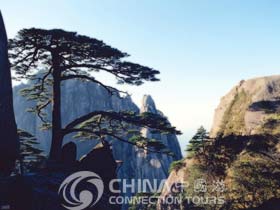 Huangshan Pine Trees, Huangshan Attractions, Huangshan Travel Guide