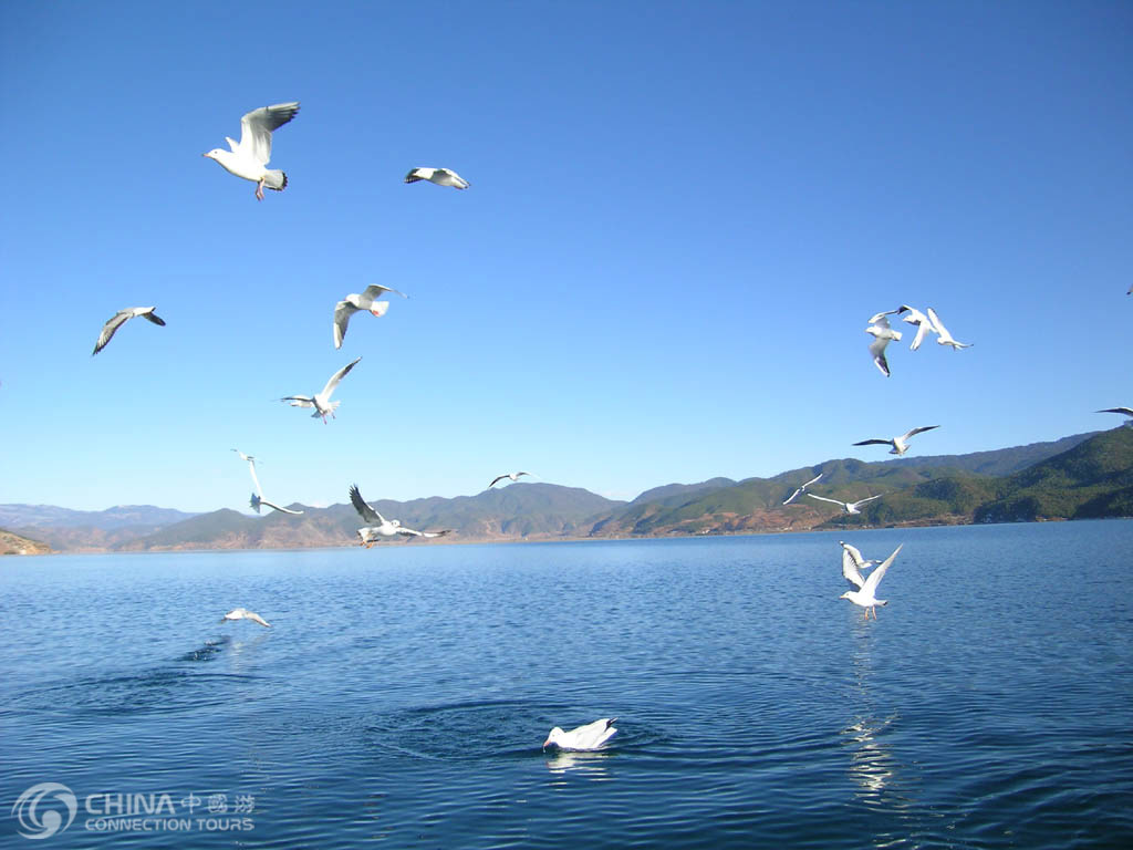 Xining Qinghai Lake, Xining Attractions, Xining Travel Guide